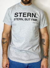Load image into Gallery viewer, STERN. T-Shirt Heather Grey
